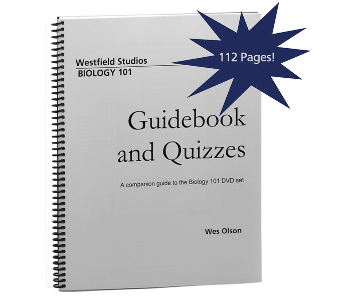 Guidebook and Quizzes