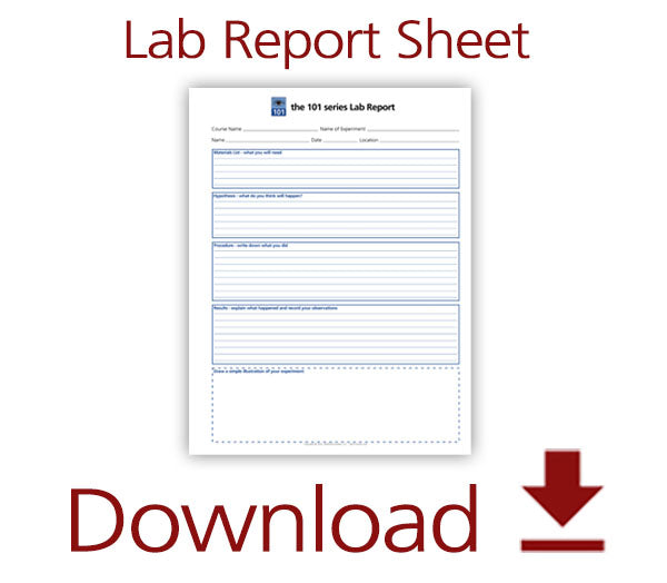 Download Lab Report (PDF)